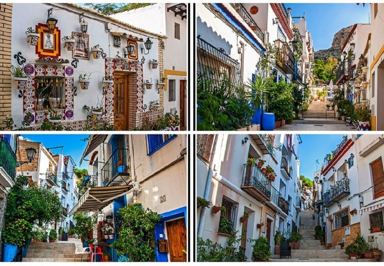 House in Alicante / Alacant - Casa La Patronera Santa Cruz
