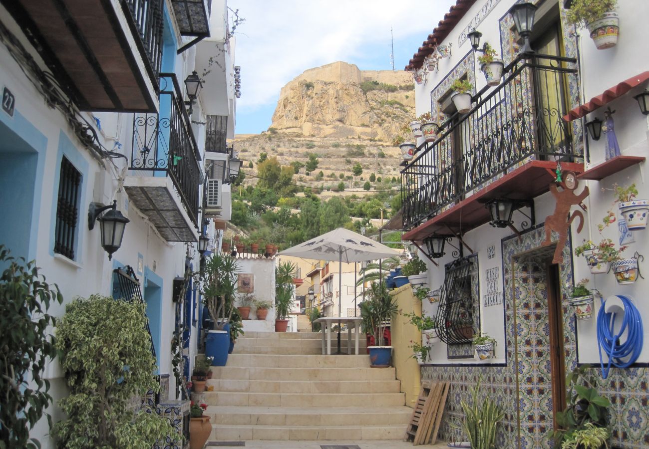 House in Alicante / Alacant - Casa San Rafael Santa Cruz
