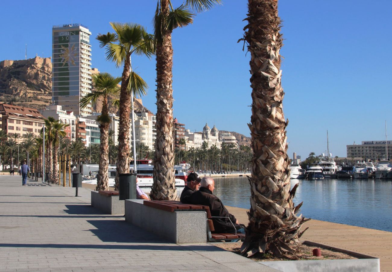 Apartment in Alicante / Alacant - Alicante Colorful Penthouse Center 5B