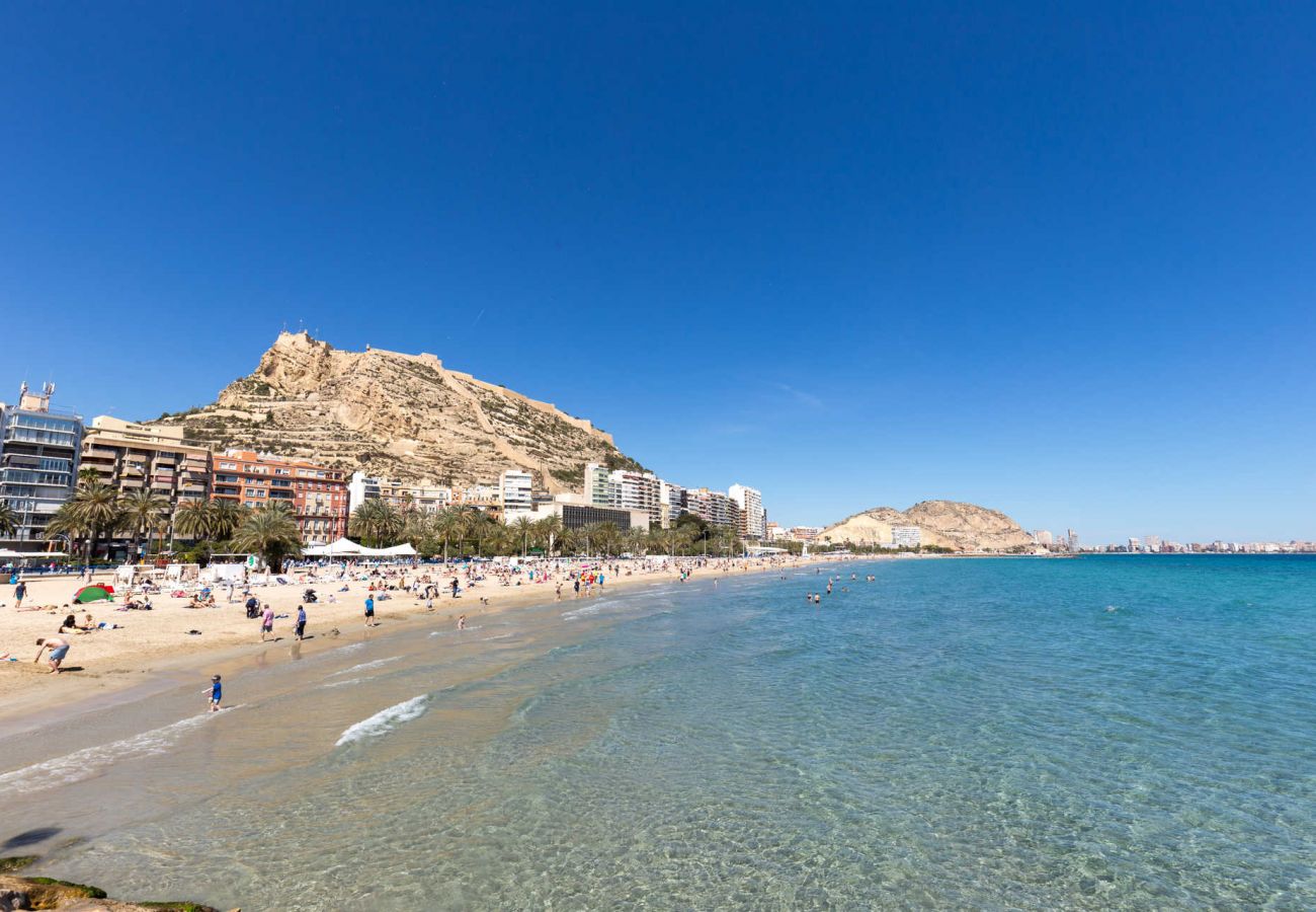 Apartment in Alicante / Alacant - Alicante Colorful Penthouse Center 5B