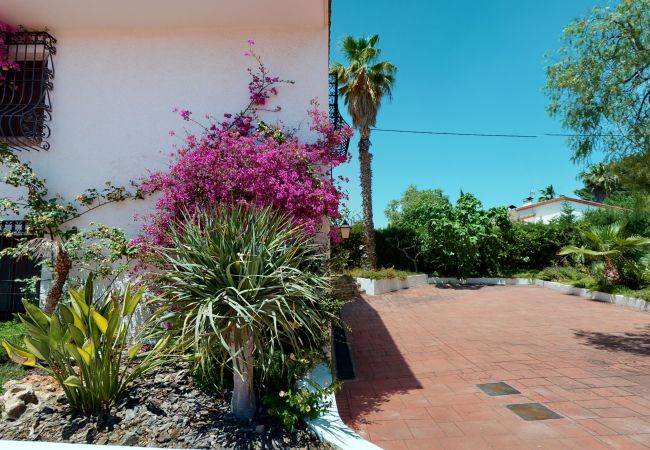 Chalet en Novelda - Precioso Chalet en Novelda Chalet en Novelda - Precioso Chalet en Novelda